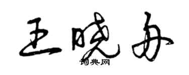 曾慶福王曉舟草書個性簽名怎么寫