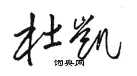 駱恆光杜凱草書個性簽名怎么寫