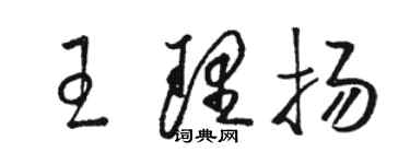 駱恆光王理揚草書個性簽名怎么寫