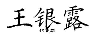 丁謙王銀露楷書個性簽名怎么寫