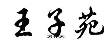 胡問遂王子苑行書個性簽名怎么寫