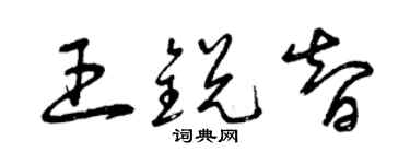曾慶福王銳智草書個性簽名怎么寫