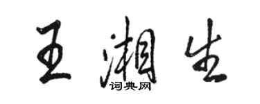 駱恆光王湘生行書個性簽名怎么寫