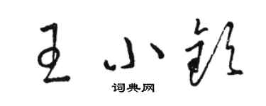 駱恆光王小欽草書個性簽名怎么寫