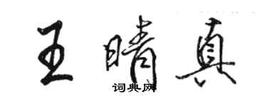 駱恆光王晴真行書個性簽名怎么寫