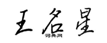 王正良王名星行書個性簽名怎么寫