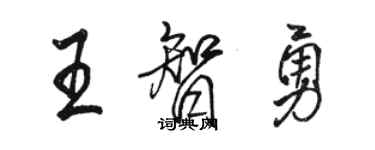 駱恆光王智勇行書個性簽名怎么寫