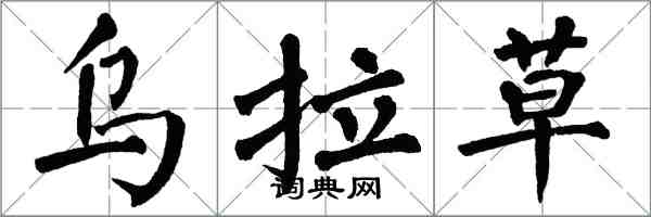 翁闓運烏拉草楷書怎么寫