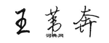 駱恆光王葦奔行書個性簽名怎么寫