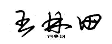 朱錫榮王林田草書個性簽名怎么寫