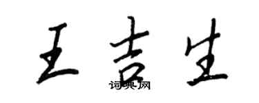王正良王吉生行書個性簽名怎么寫
