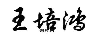 胡問遂王培鴻行書個性簽名怎么寫