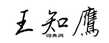 王正良王知鷹行書個性簽名怎么寫