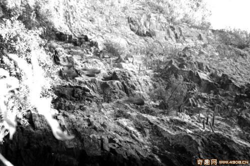 1946年的宜賓懸棺葬千古之謎