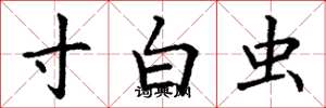 丁謙寸白蟲楷書怎么寫