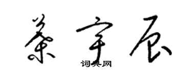 梁錦英葉宇辰草書個性簽名怎么寫