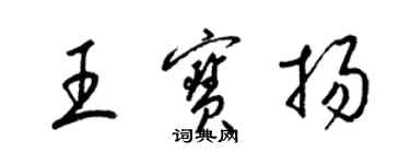 梁錦英王寶揚草書個性簽名怎么寫