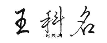 駱恆光王科名行書個性簽名怎么寫