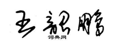 朱錫榮王韶鵬草書個性簽名怎么寫