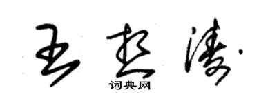 朱錫榮王想濤草書個性簽名怎么寫