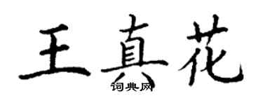 丁謙王真花楷書個性簽名怎么寫