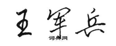 駱恆光王軍兵行書個性簽名怎么寫