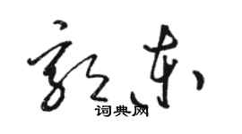 駱恆光郭東草書個性簽名怎么寫