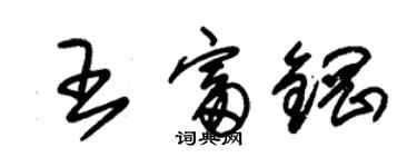 朱錫榮王富鋼草書個性簽名怎么寫