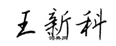 王正良王新科行書個性簽名怎么寫