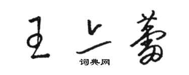 駱恆光王亦蕾草書個性簽名怎么寫