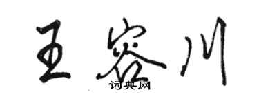 駱恆光王容川行書個性簽名怎么寫