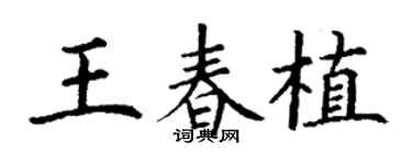 丁謙王春植楷書個性簽名怎么寫