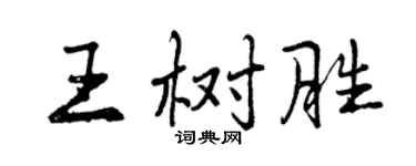 曾慶福王樹勝行書個性簽名怎么寫
