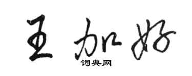 駱恆光王加好行書個性簽名怎么寫