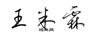 梁錦英王米霖草書個性簽名怎么寫