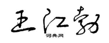 曾慶福王江勃草書個性簽名怎么寫