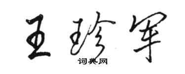 駱恆光王珍軍行書個性簽名怎么寫