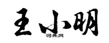 胡問遂王小明行書個性簽名怎么寫