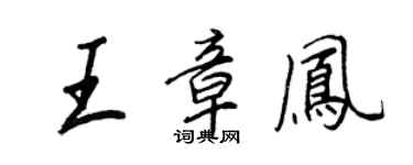 王正良王章鳳行書個性簽名怎么寫