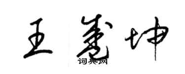 梁錦英王盛坤草書個性簽名怎么寫