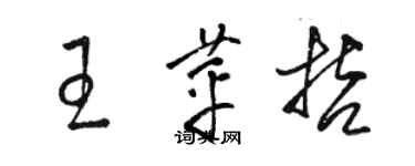 駱恆光王苹哲草書個性簽名怎么寫