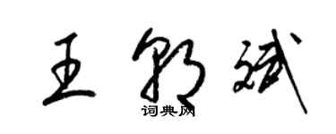 梁錦英王朝斌草書個性簽名怎么寫