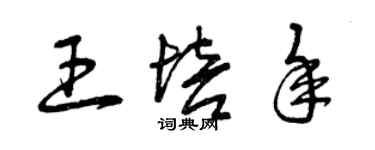 曾慶福王培年草書個性簽名怎么寫