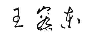 駱恆光王容東草書個性簽名怎么寫