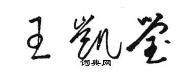 駱恆光王凱瑩草書個性簽名怎么寫