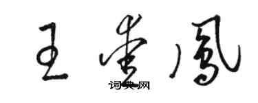 駱恆光王愛鳳草書個性簽名怎么寫