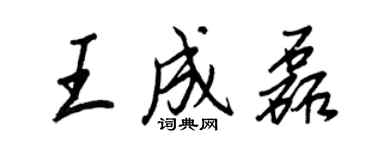 王正良王成磊行書個性簽名怎么寫