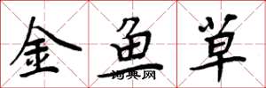 周炳元金魚草楷書怎么寫
