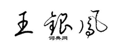 梁錦英王銀鳳草書個性簽名怎么寫