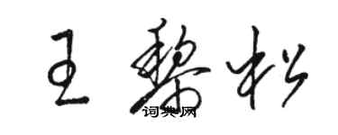 駱恆光王黎松草書個性簽名怎么寫